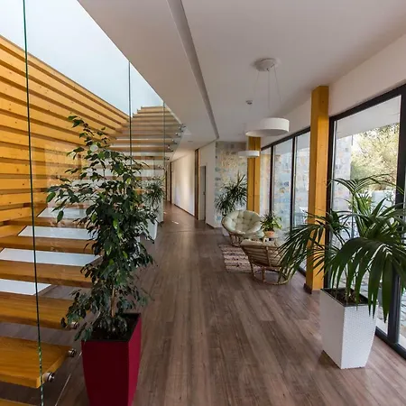 Alban Eco 4* Dhermi