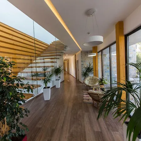 Szálloda Alban Eco 4*
